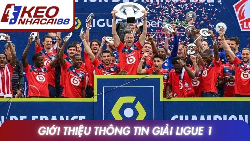 Giới thiệu thông tin giải Ligue 1