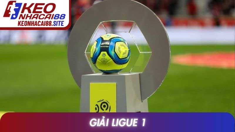 Giải Ligue 1 Và Những Điểm Nhấn Chuyên Môn Đáng Theo Dõi