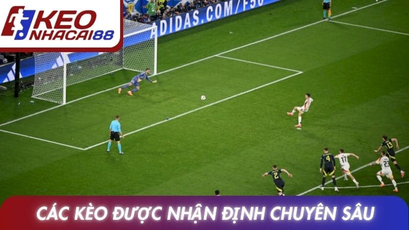 Các lựa chọn cược được nhận định chuyên sâu