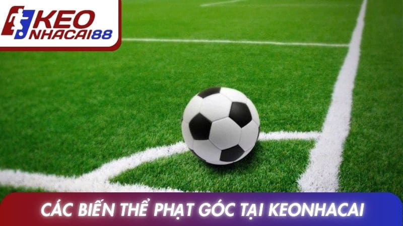 Các biến thể phạt góc được phân tích tại Keonhacai