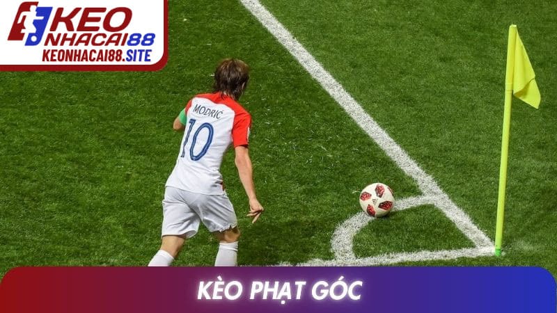 Kèo Phạt Góc: Luật Tính, Phân Loại Và Kinh Nghiệm Theo Dõi