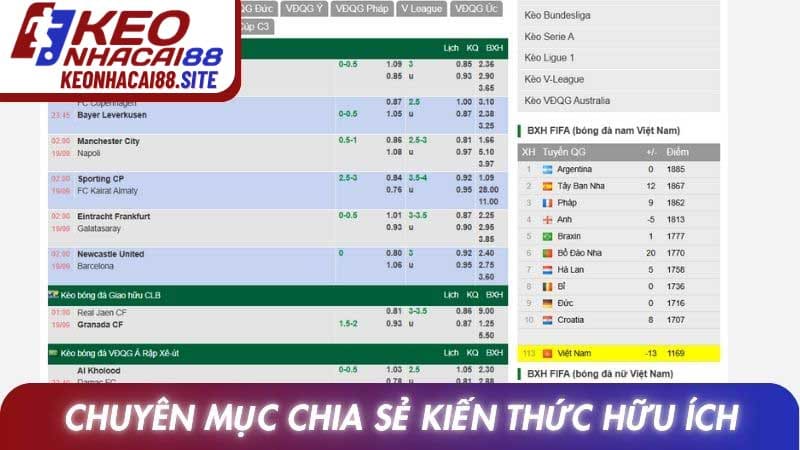 Chuyên mục chia sẻ kiến thức cá cược hữu ích