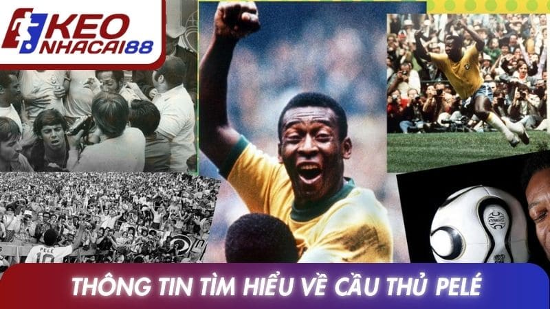 Thông tin tìm hiểu về cầu thủ Pelé