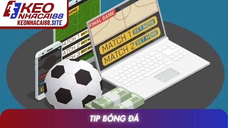 Tip bóng đá và chiến thuật soi kèo đỉnh cao mùa giải 2026