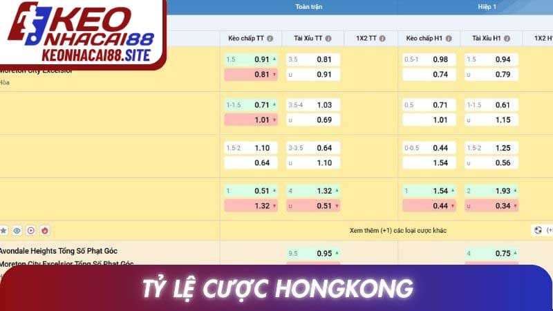 Tỷ Lệ Cược Hongkong: Cách Hiểu Và Phân Tích Số Liệu Chuẩn