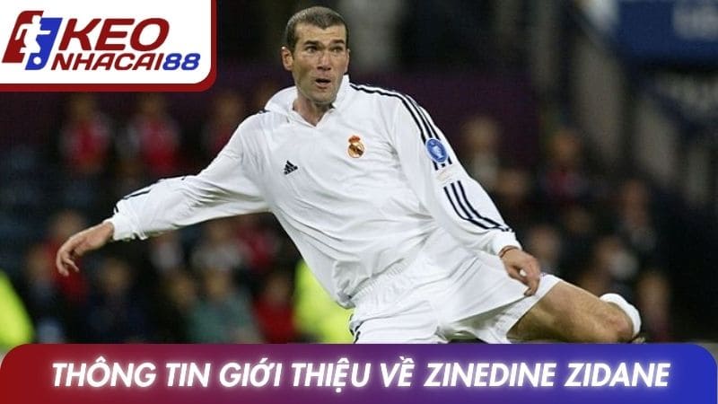 Thông tin giới thiệu về Zinedine Zidane
